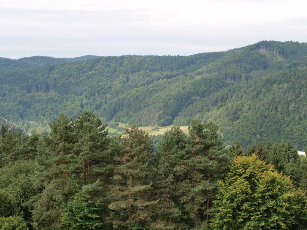 Švařec
