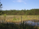 Název souboru=p8070082-1024.jpg
Velikost souboru=305KB
Rozměry=1024x768
Datum přidání=09. Listopad 2010 p8070082-1024.jpg
