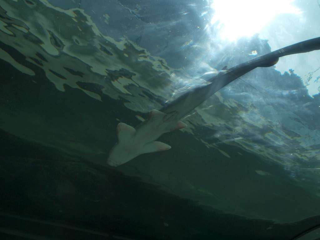 20100921_043942_Zbynek_P9217109-1024.jpg