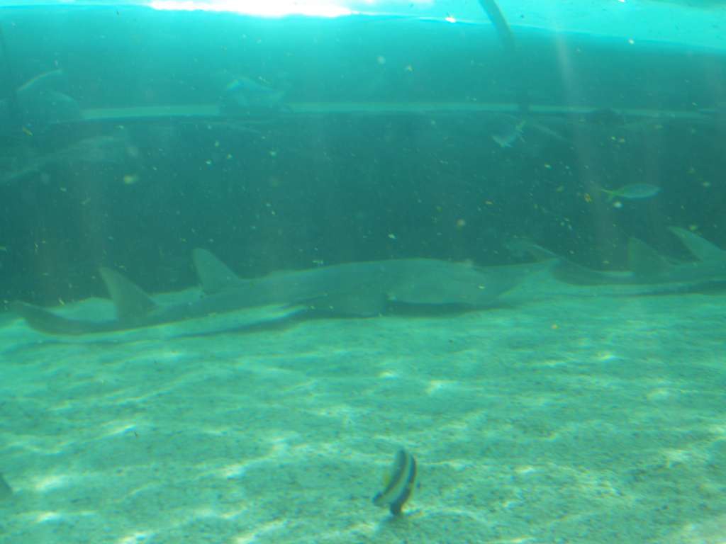 20100921_044524_Zbynek_P9217139-1024.jpg