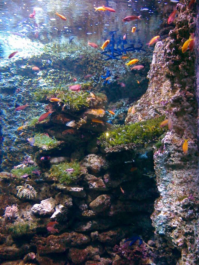 20100921_054033_ZbynekE52_21092010061-1024.jpg