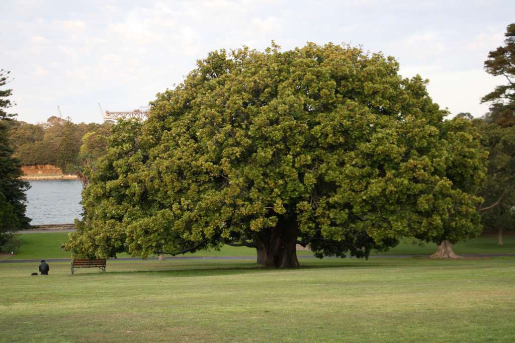 20100922_091628_Vlada_DPP_0858-1024.jpg