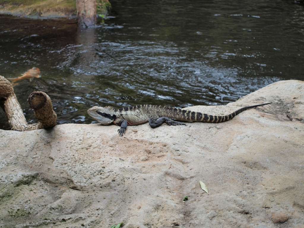 20100923_024144_Zbynek_P9237389-1024.jpg