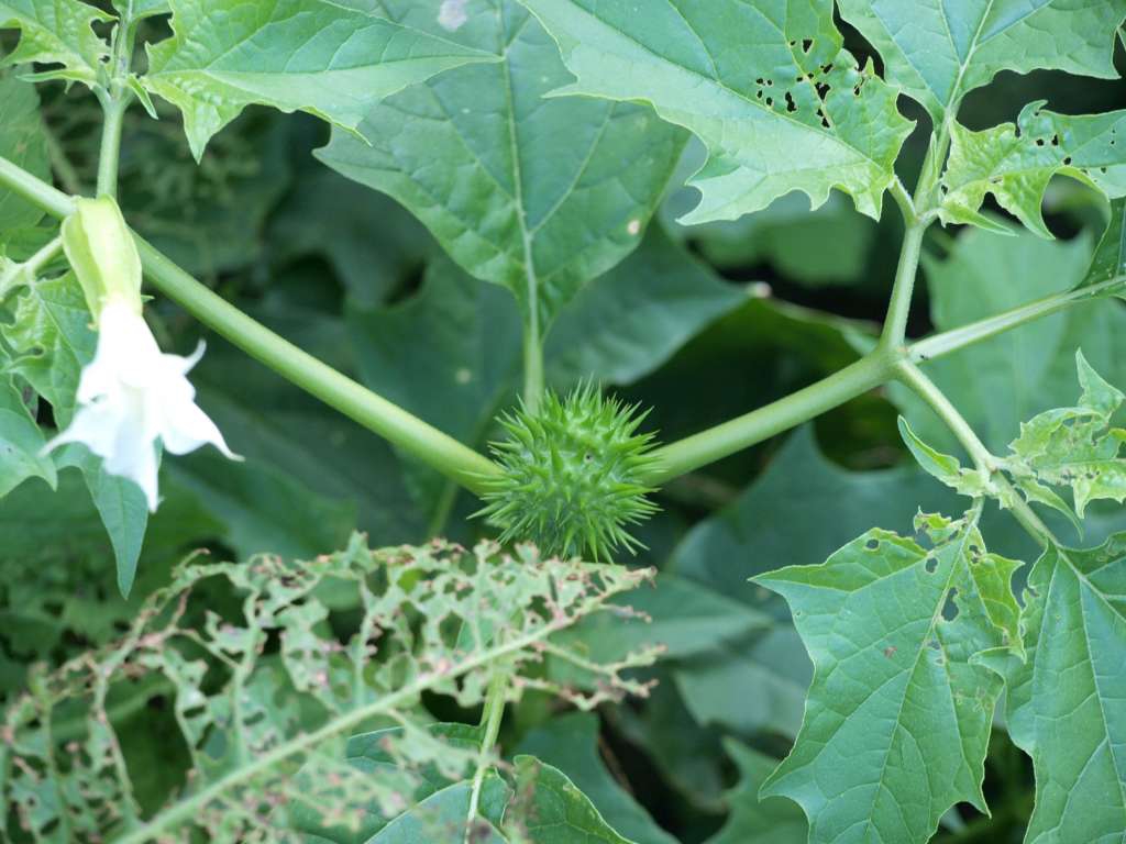 P9171529-1024~0.jpg