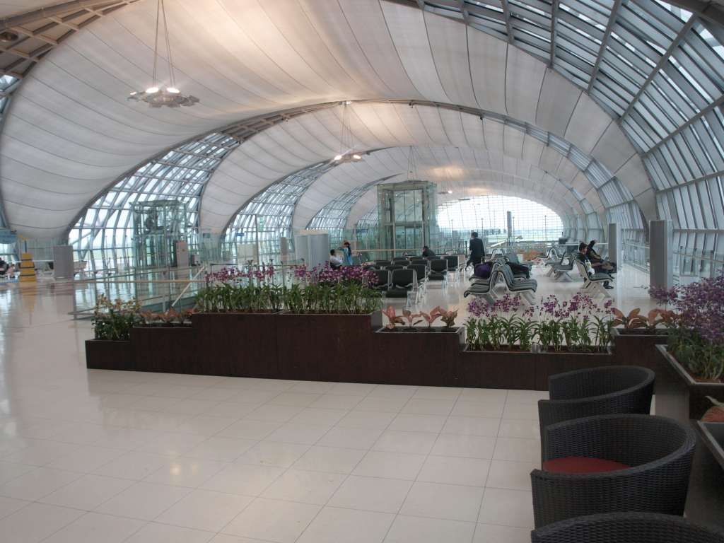 P9186589-1024.jpg