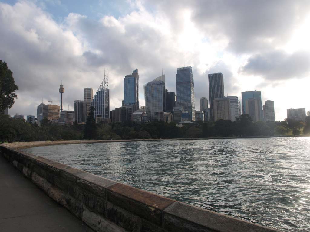 P9206659-1024.jpg