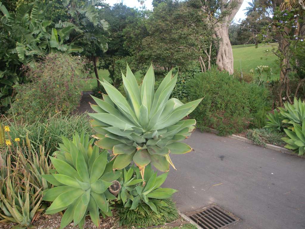P9206662-1024.jpg
