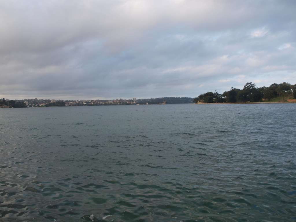 P9206717-1024.jpg