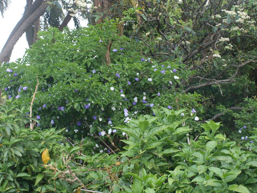 P9206720-1024.jpg