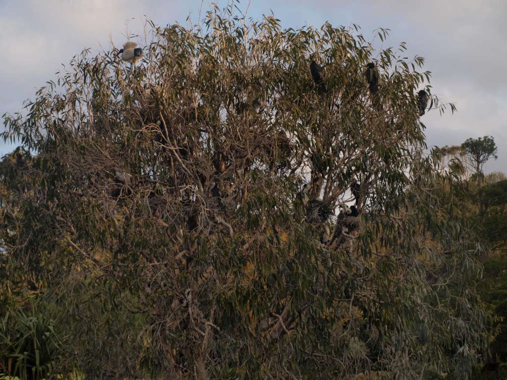 P9206723-1024.jpg