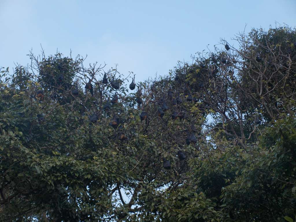 P9206792-1024.jpg