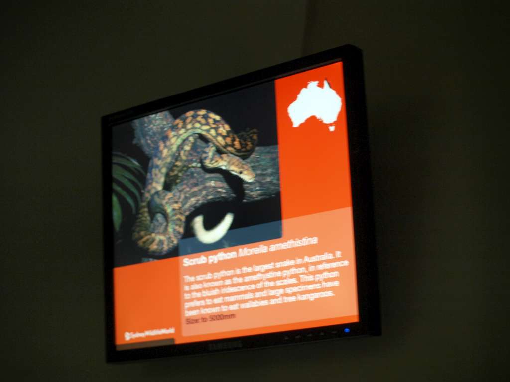 P9216888-1024.jpg