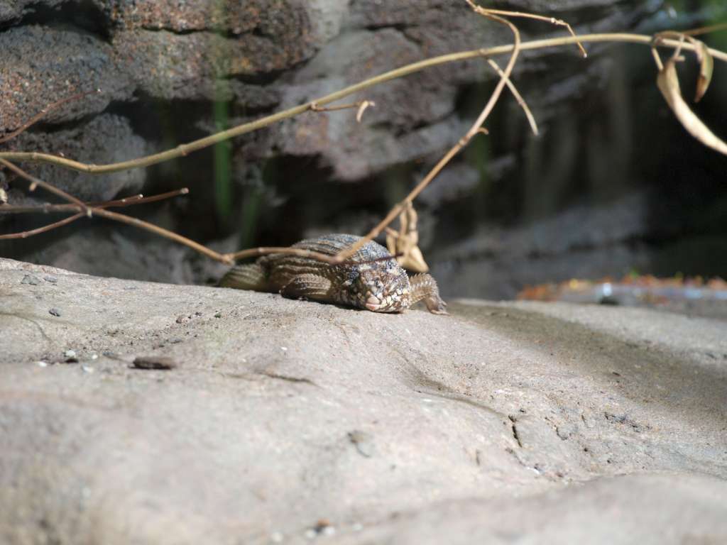 P9216913-1024.jpg