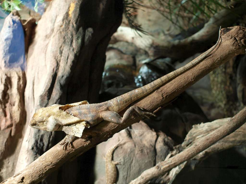 P9216915-1024.jpg
