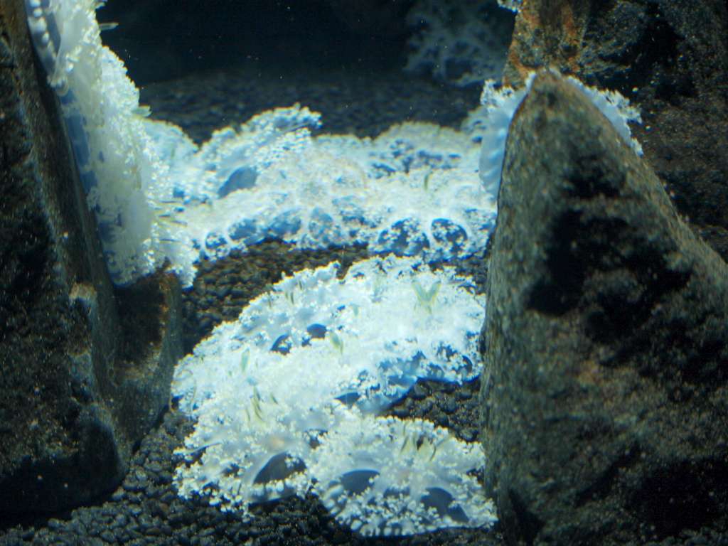 P9217042-1024.jpg