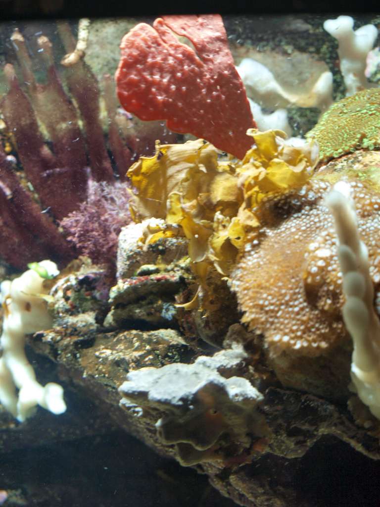 P9217056-1024.jpg
