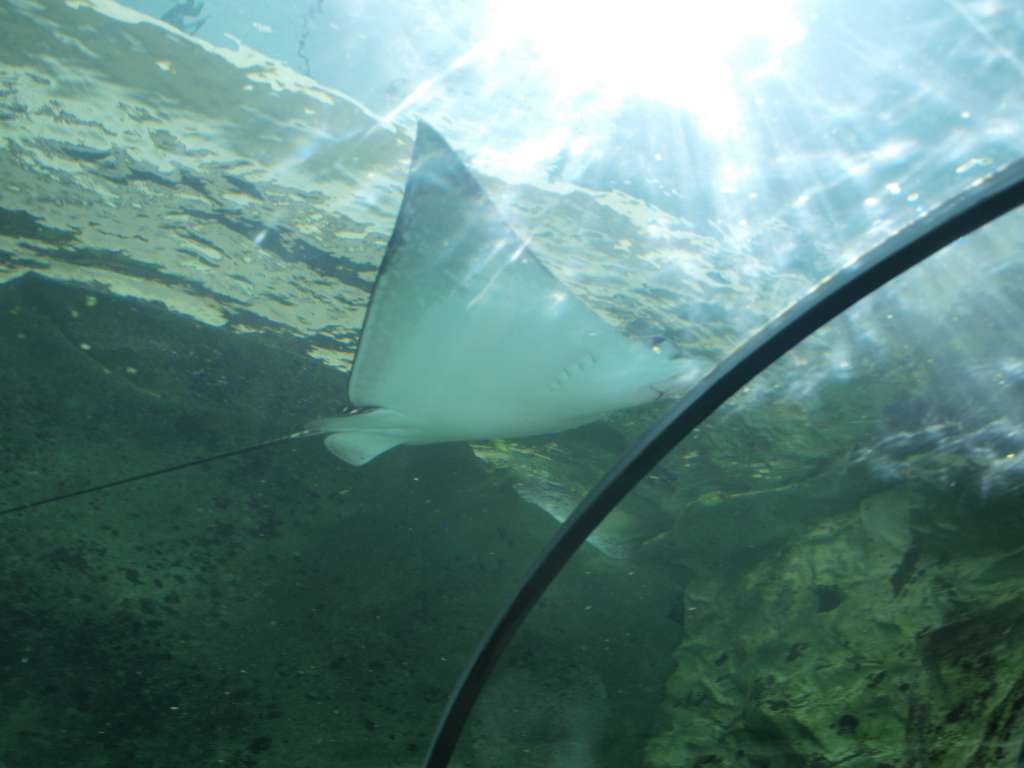 P9217095-1024.jpg