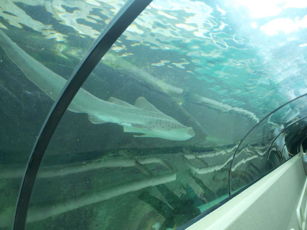P9217105-1024.jpg