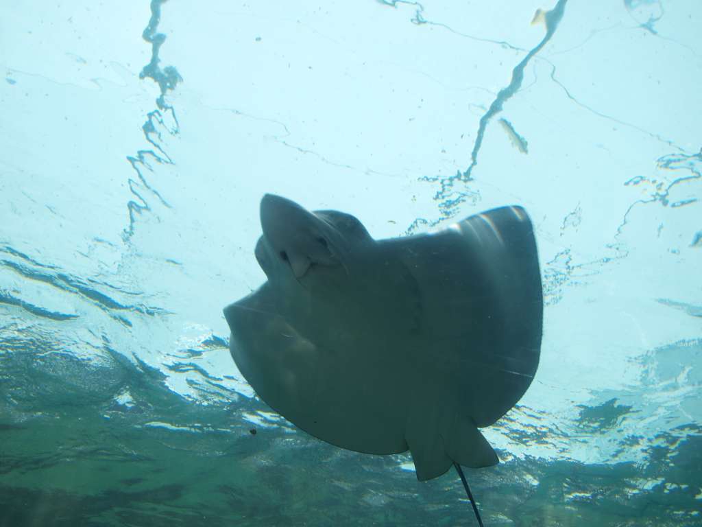 P9217111-1024.jpg