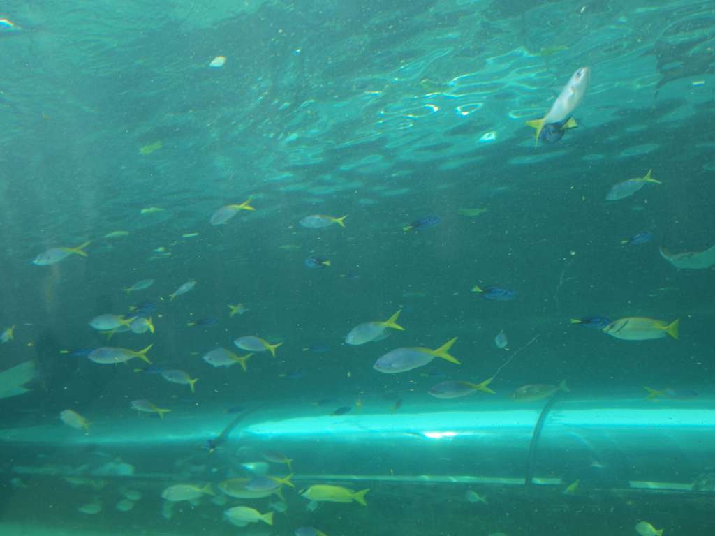 P9217113-1024.jpg