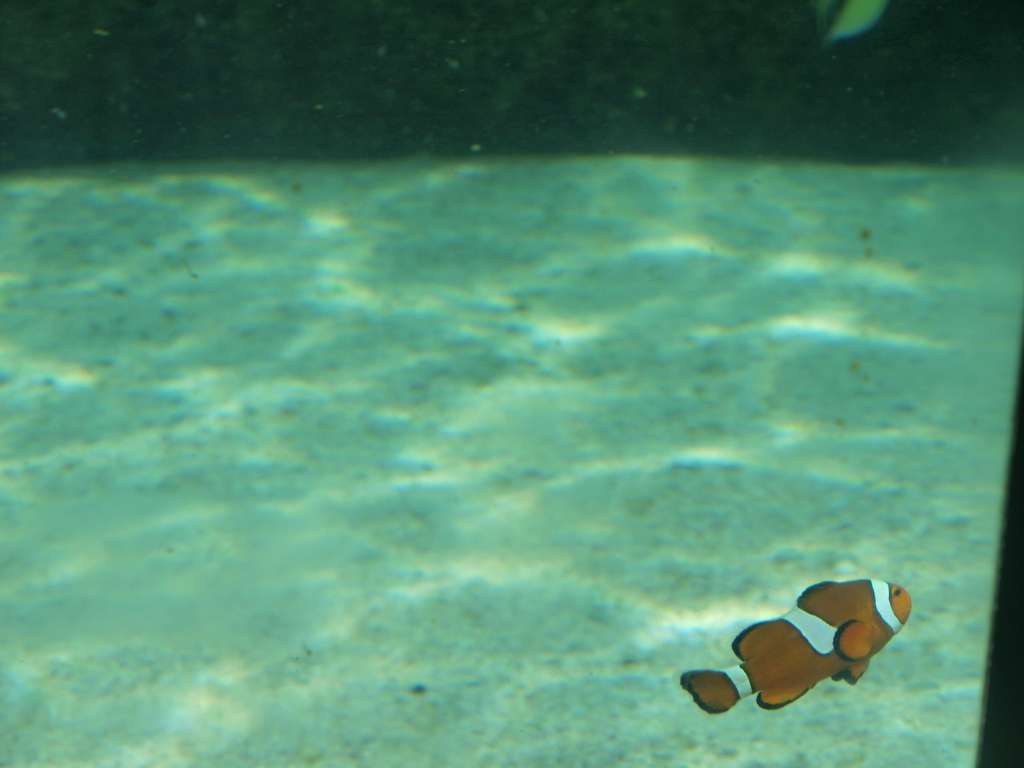 P9217151-1024.jpg