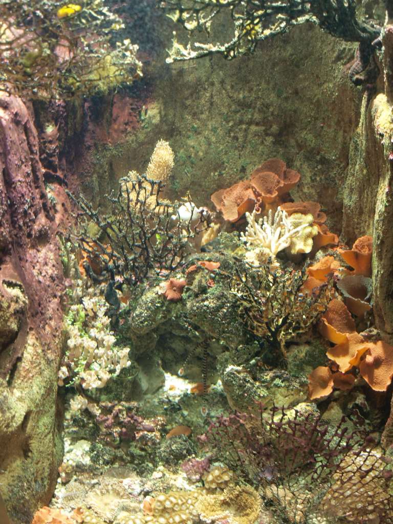 P9217165-1024.jpg