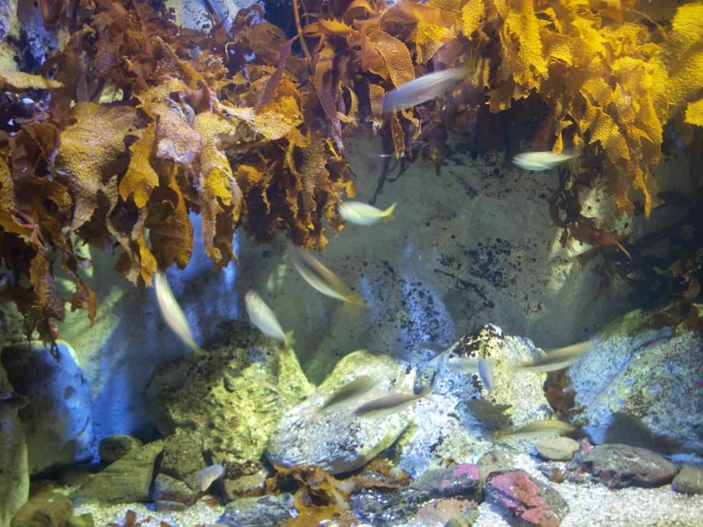 P9217170-1024.jpg