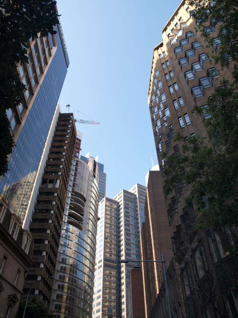 P9227232-1024.jpg
