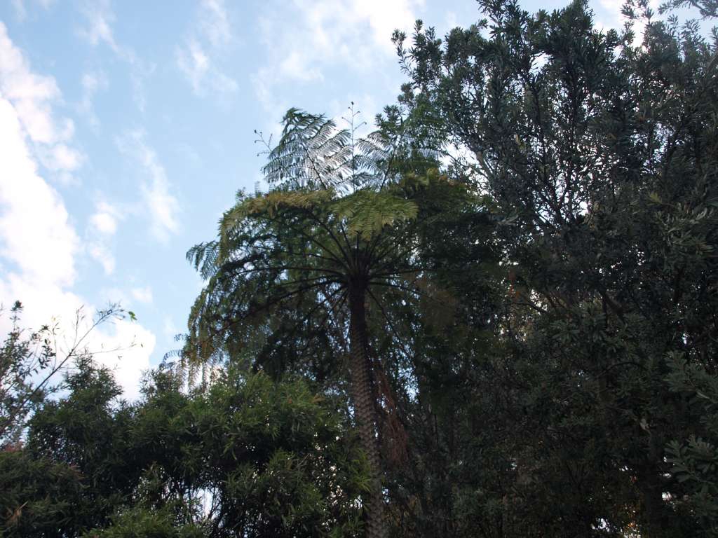 P9227289-1024.jpg