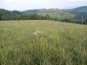Název souboru=P9203051-1024.jpg
Velikost souboru=372KB
Rozměry=1024x768
Datum přidání=09. Listopad 2010 P9203051-1024.jpg