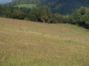 Název souboru=P9203053-1024.jpg
Velikost souboru=354KB
Rozměry=1024x768
Datum přidání=09. Listopad 2010 P9203053-1024.jpg