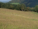 Název souboru=P9203054-1024.jpg
Velikost souboru=345KB
Rozměry=1024x768
Datum přidání=09. Listopad 2010 P9203054-1024.jpg