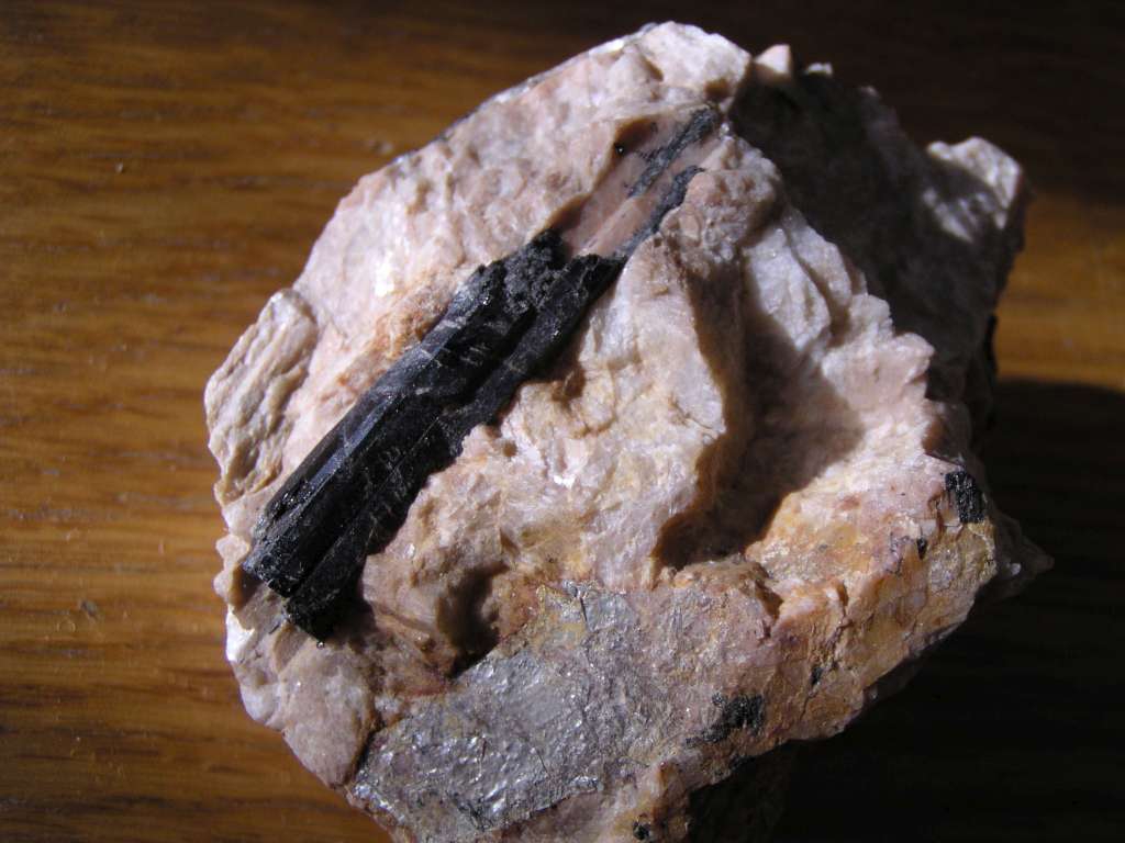 Skoryl
