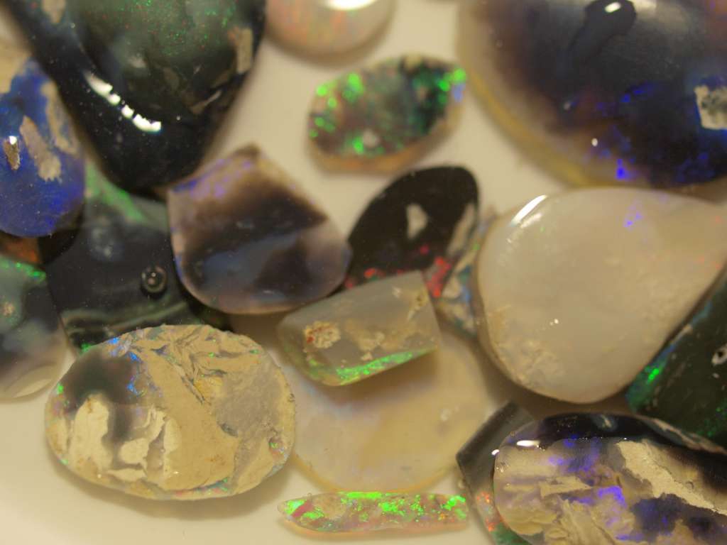 PB051590-1024.jpg