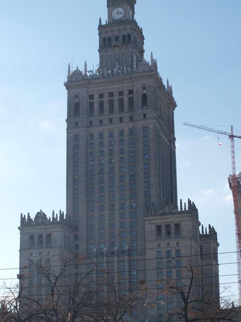 PB111630-1024.jpg