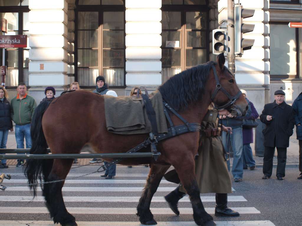 PB111648-1024.jpg