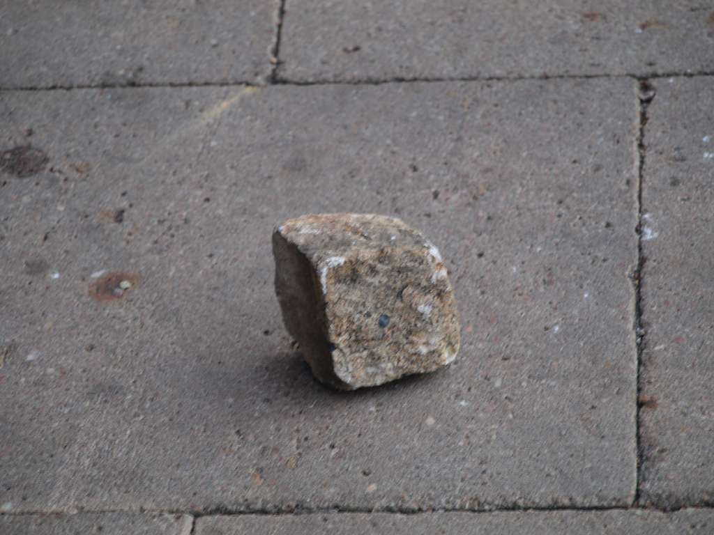 PB111723-1024.jpg