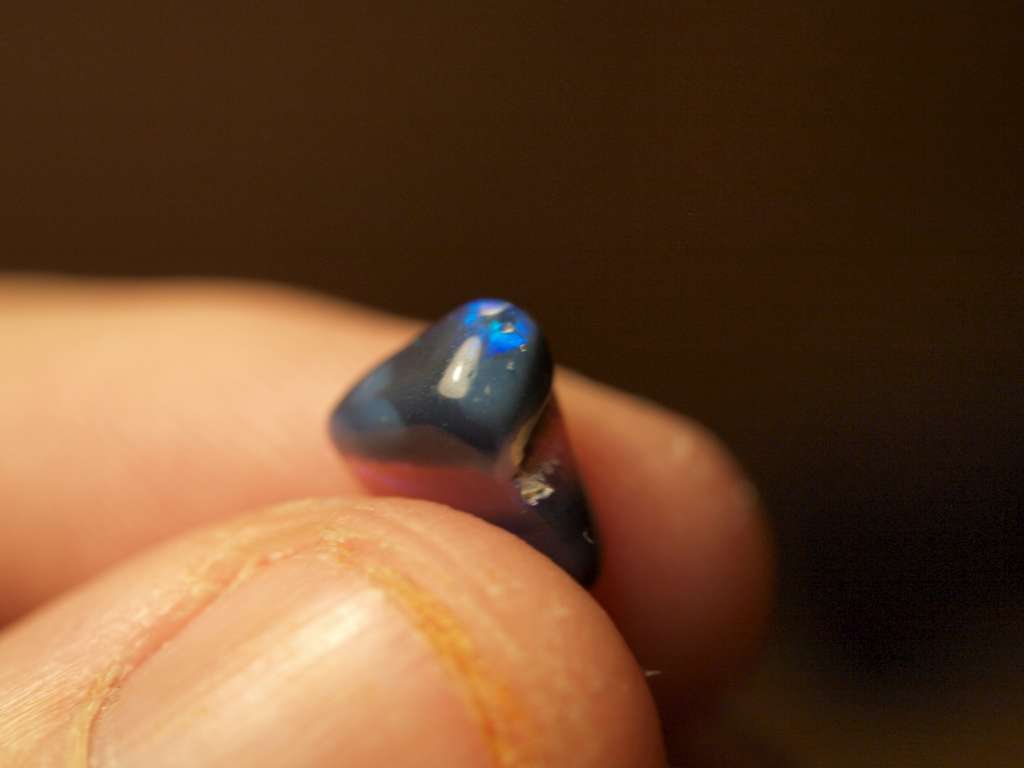 PB271909-1024.jpg