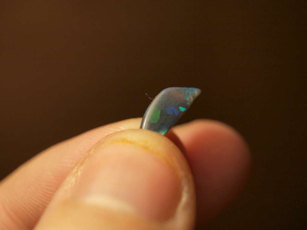 PB272001-1024.jpg