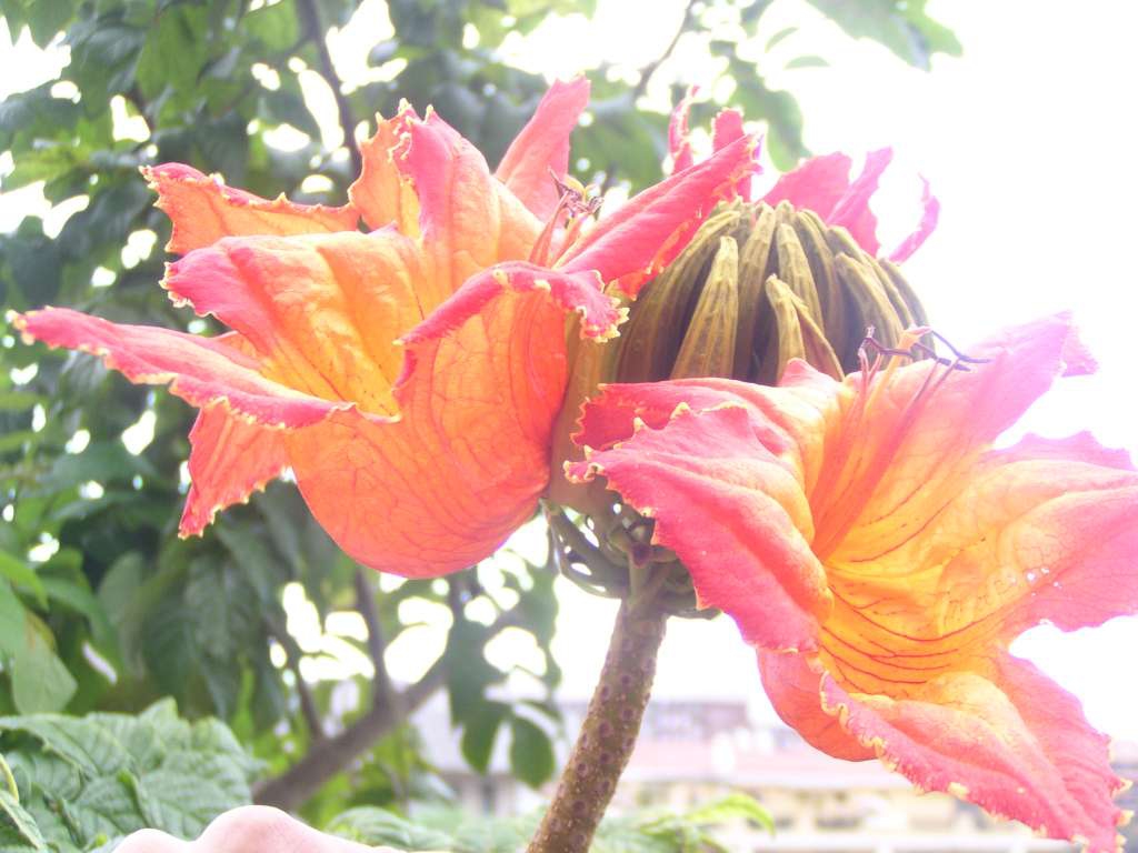 PC170027-1024.jpg