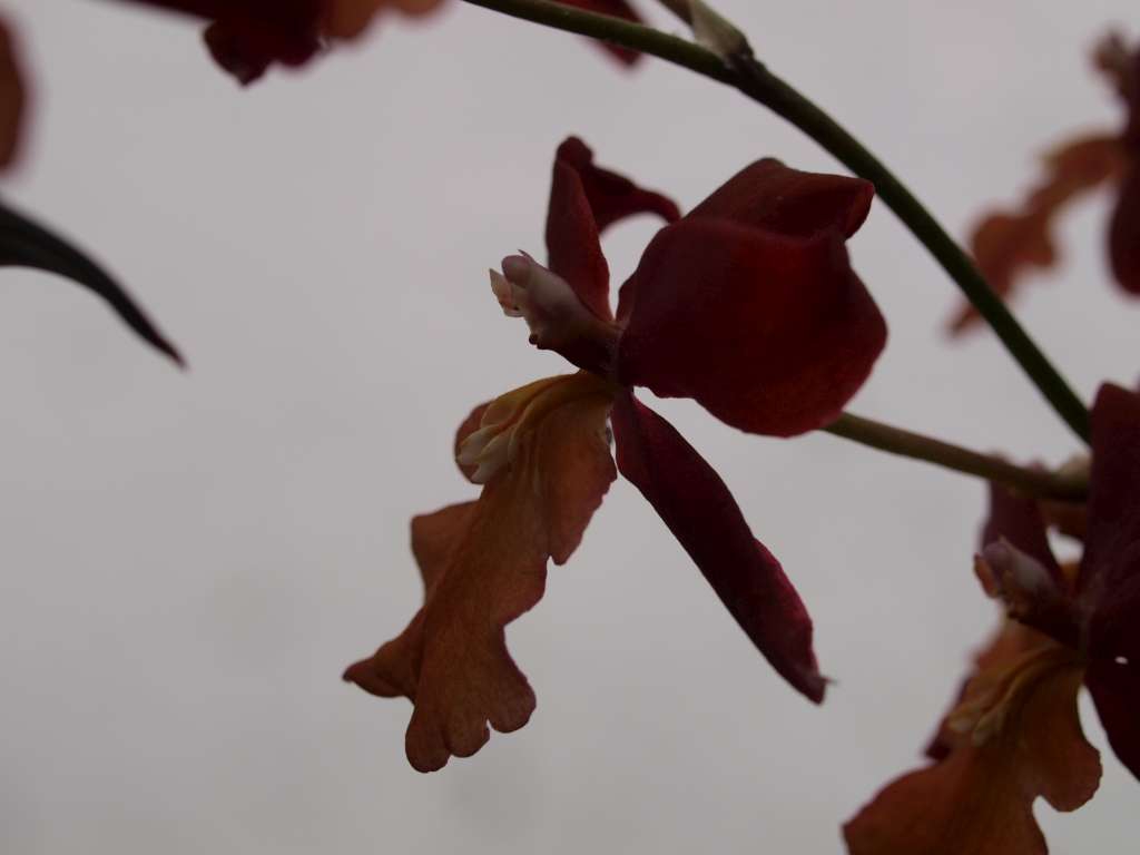 PC258322-1024.jpg