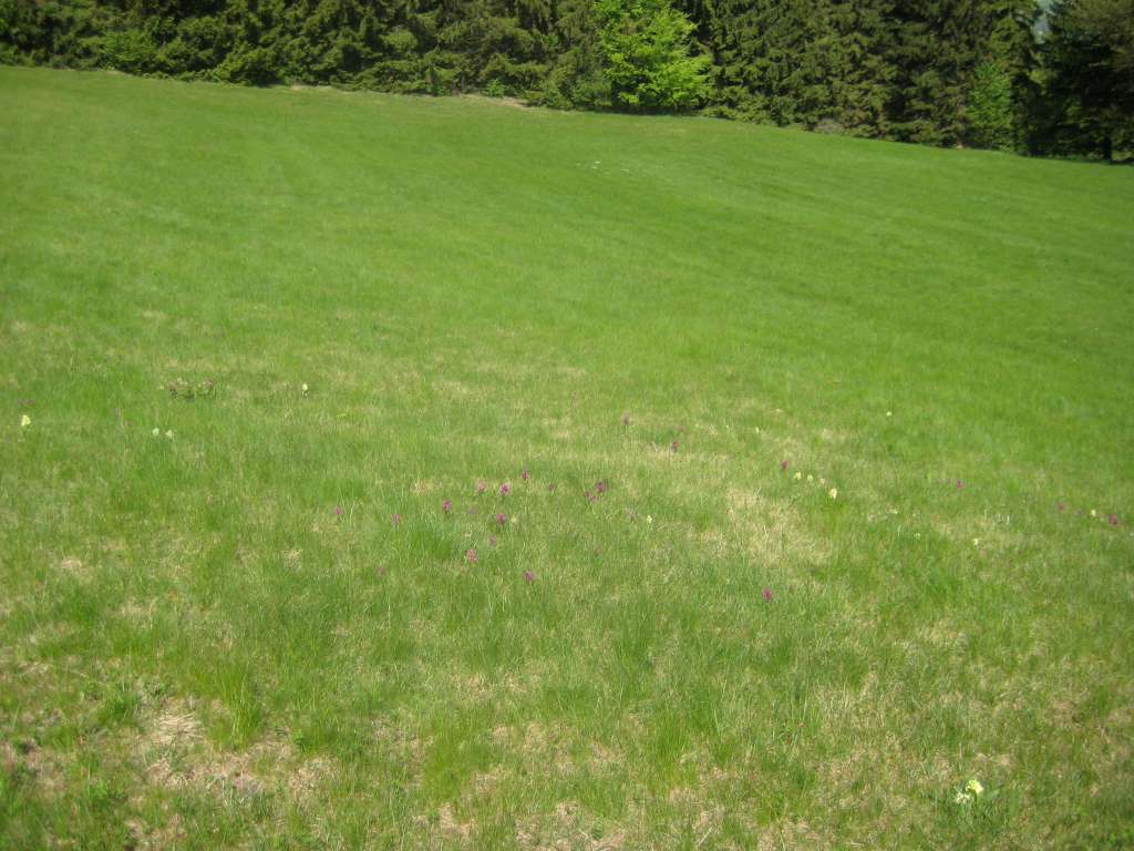 pic_003-1024.jpg