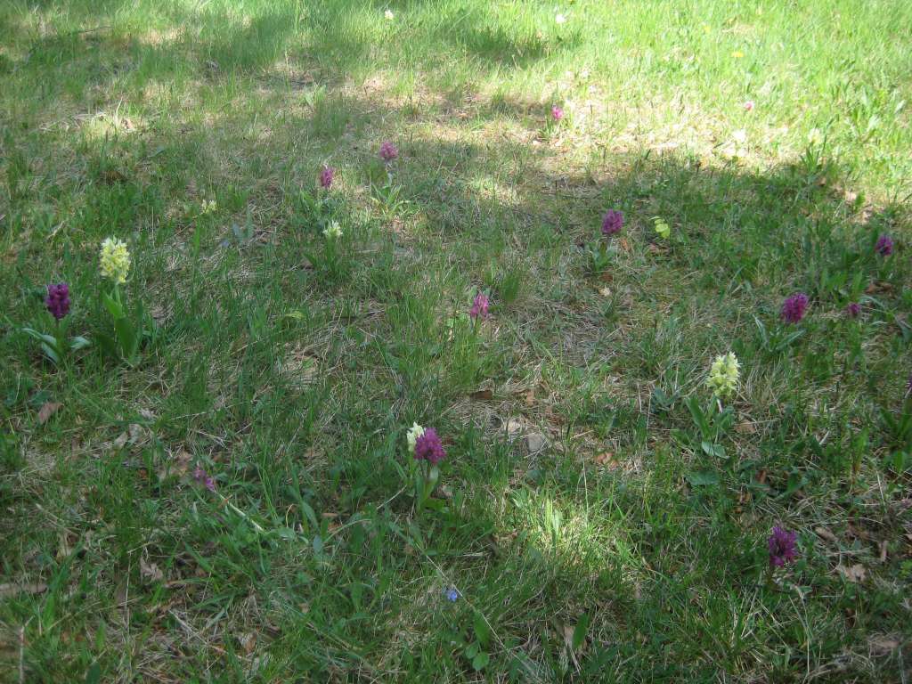 pic_031-1024.jpg