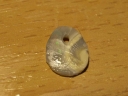 PC198297-1024.jpg