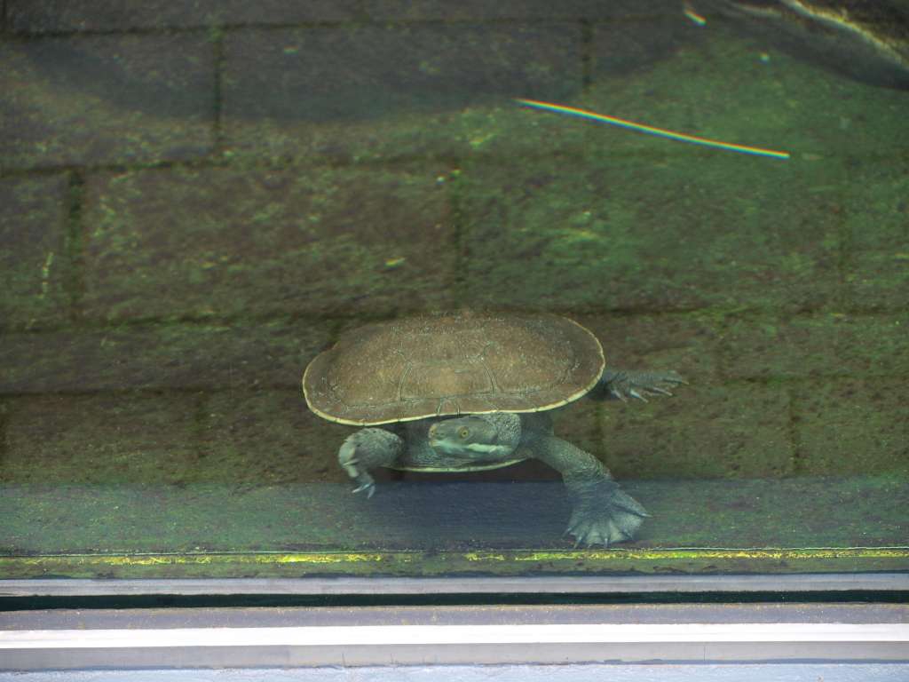 20100923_060554_Zbynek_P9237711-1024.jpg