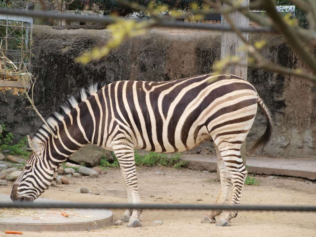 20100923_063143_Zbynek_P9237798-1024.jpg