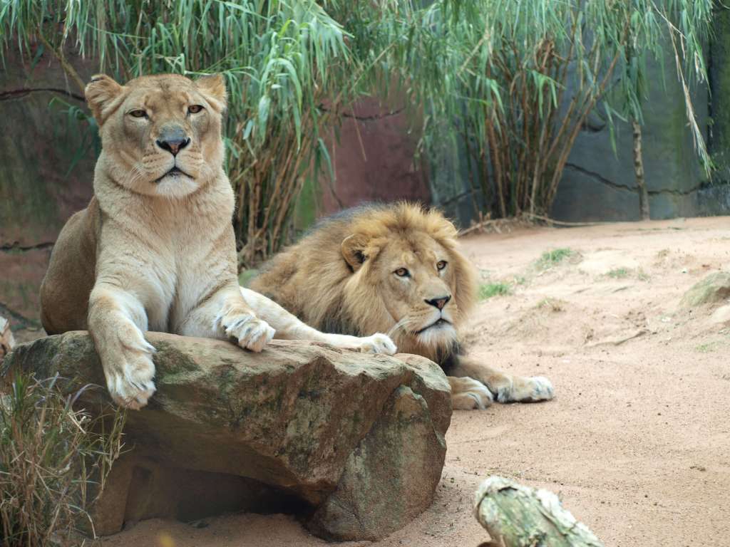 20100923_064526_Zbynek_P9237834-1024.jpg