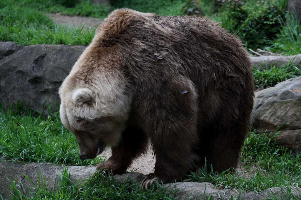 20100923_064711_Vlada_DPP_1240-1024.jpg