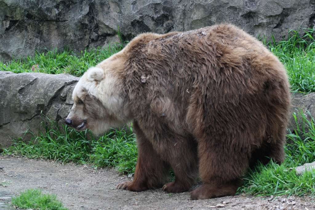20100923_064757_Vlada_DPP_1241-1024.jpg
