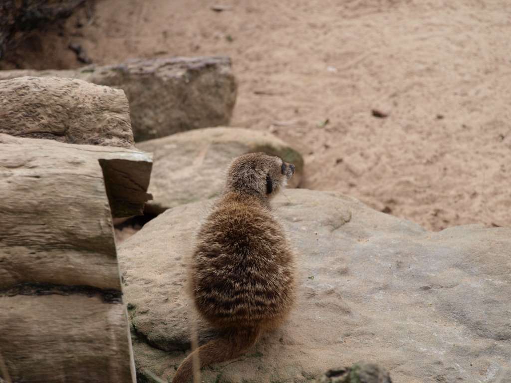 20100923_065202_Zbynek_P9237868-1024.jpg